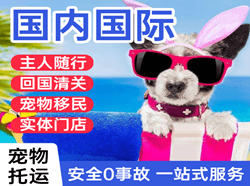 沧源佤山机场快运国际宠物托运 【国